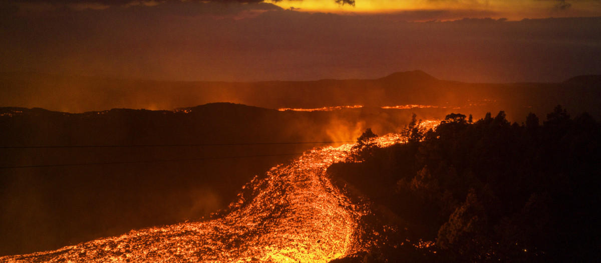 Río de lava del volcán de La Palma, el pasado noviembre