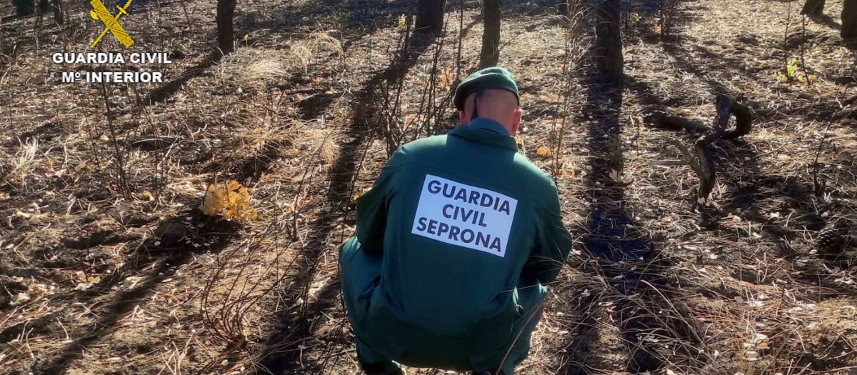 Guardia Civil evaluando los daños del incendio