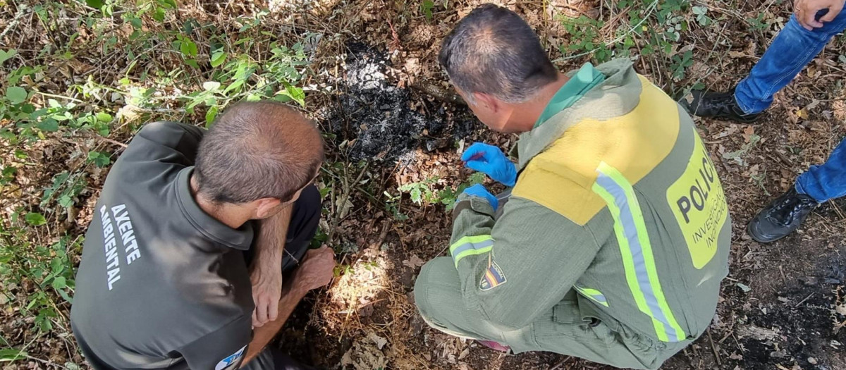 Un par de agentes forestales investigan uno de los incendios