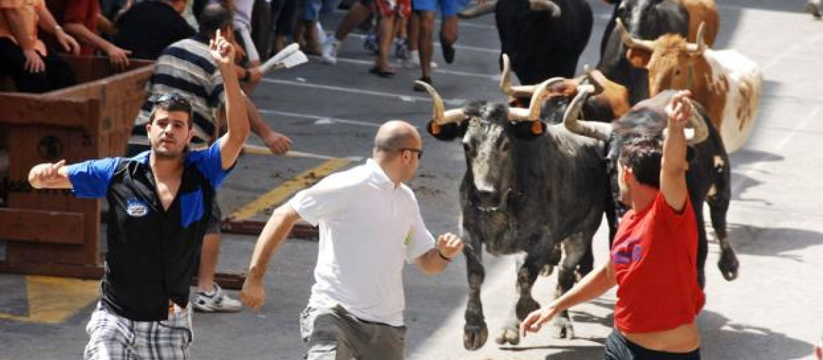 Imagen de un festejo de 'bous al carrer' en Valencia