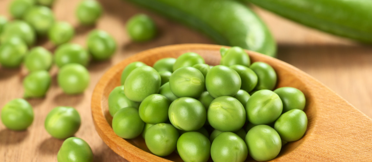 .food,aliment,green,vegetable,raw,ingredient,pea,fresh,still life,food,aliment,green,horizontal,vegetable,raw,photograph,wooden spoon,seed,nobody,pod,legume,pulse,photo,picture,image,copy,deduction,ingredient,pea,spoon,fresh,green pea,green pea,pod fruit,pea pod,pisum sativum,selective focus,color photo,studio shot