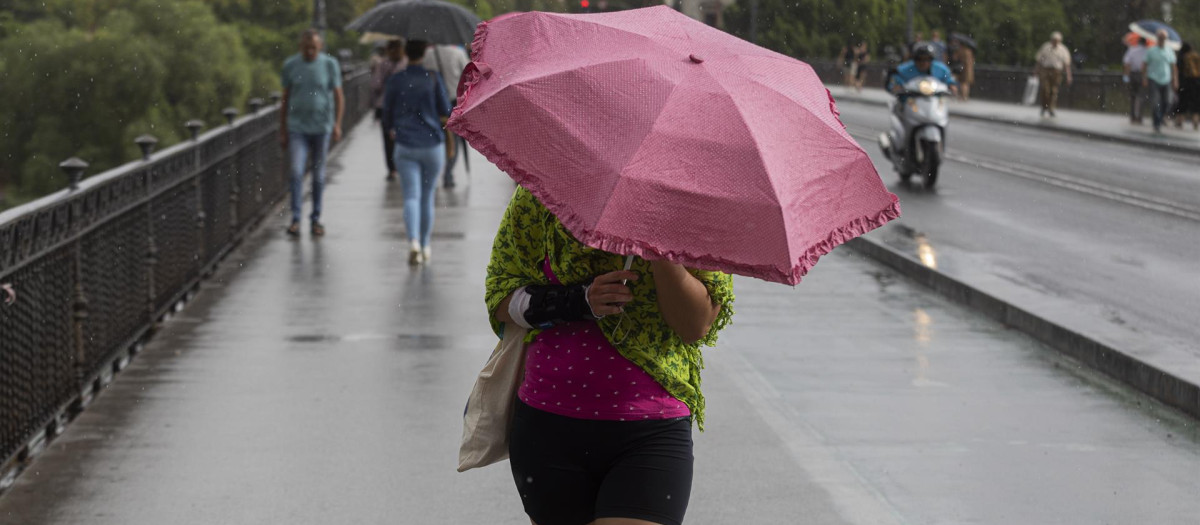 Varias personas se refugian en sus paraguas por la lluvia