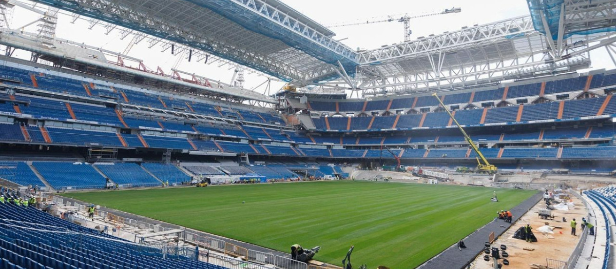 El nuevo césped del Santiago Bernabéu