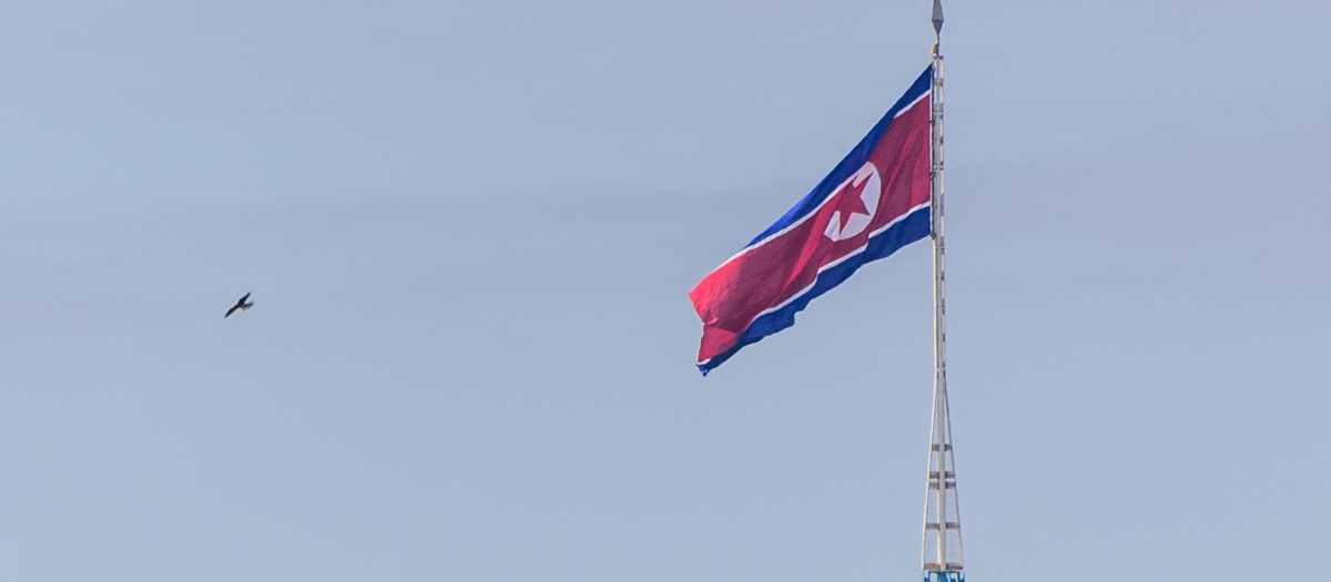 Bandera Corea del Norte