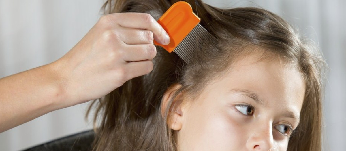 Una niña a la que se le están quitando los piojos