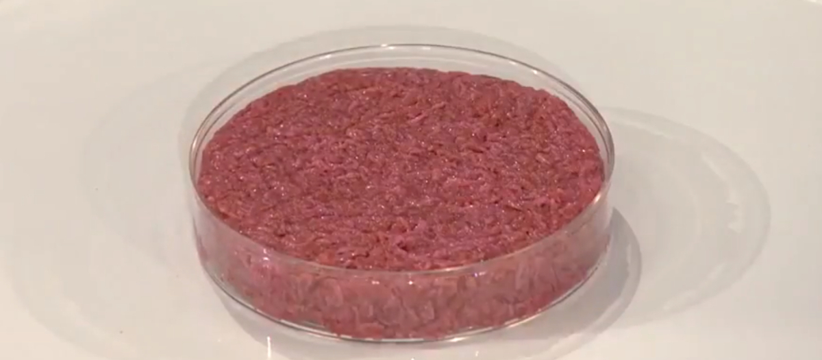 Primera hamburguesa realizada, en 2013, con carne cultivada en un laboratorio