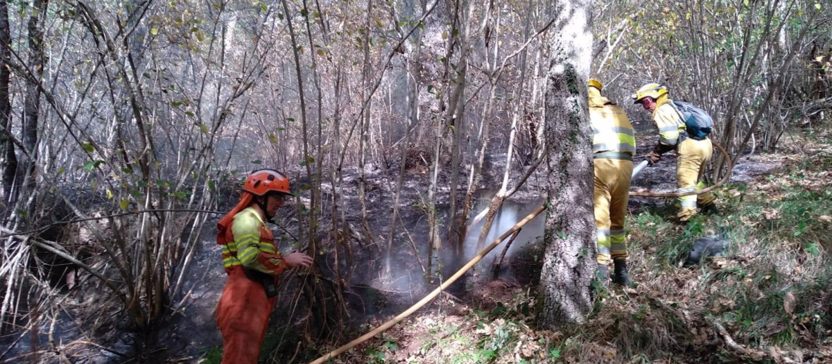 Efectivos sofocan un incendio en Peñarrubia