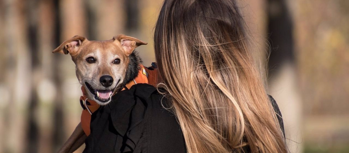 24/05/2022 Jornada de Adopción Animal
POLITICA 
AYUNTAMIENTO DE COLMENAR VIEJO