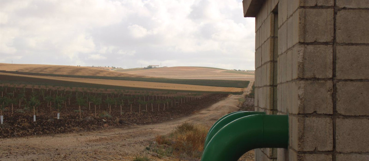 Dos empresas de Rabanales 21 y Smart City Clúster desarrollan un proyecto para optimizar el uso del agua