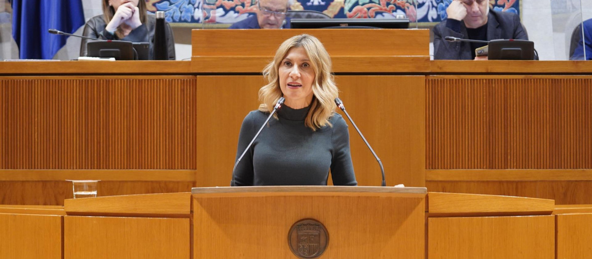 La diputada popular Mar Vaquero durante su intervención en las Cortes de Aragón