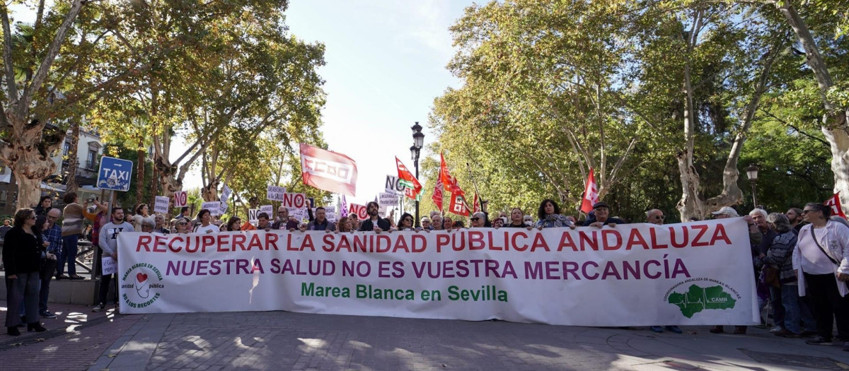 Manifestación de este sábado en defensa de la sanidad pública