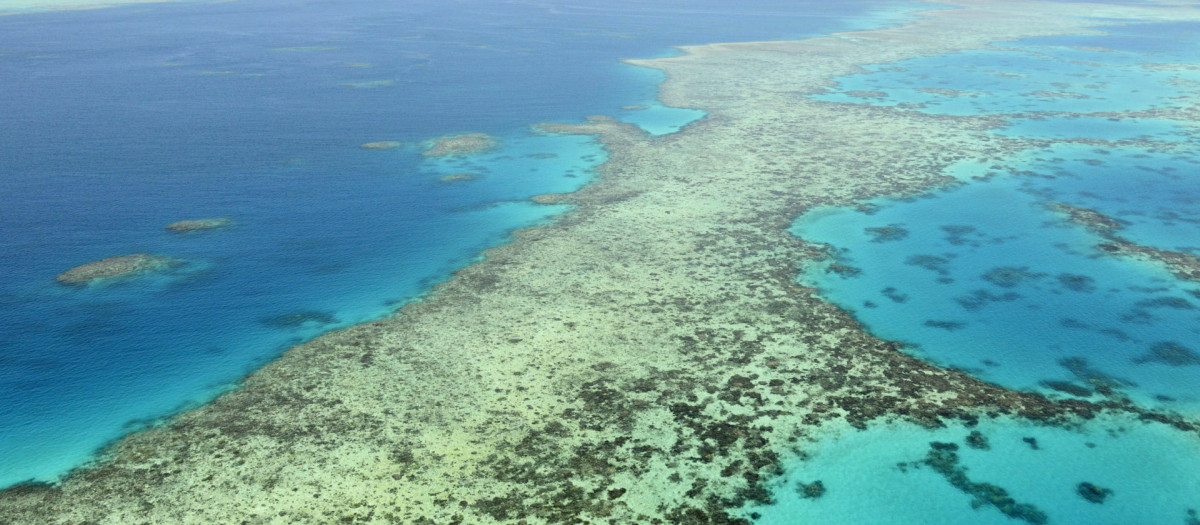 Gran Barrera de Coral