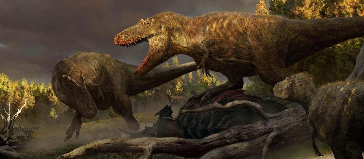 Esta pintura de los cuatro especímenes de tiranosaurio descubiertos por el Museo de Dinosaurios de Badlands por el paleoartista Rudolf Hima