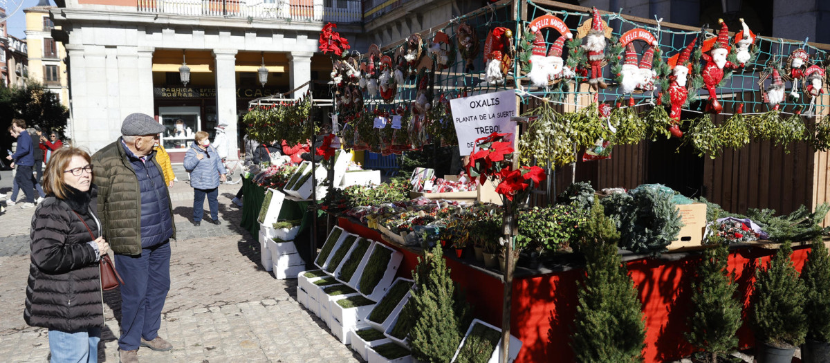 Árboles de Navidad, en la Plaza Mayor de Madrid