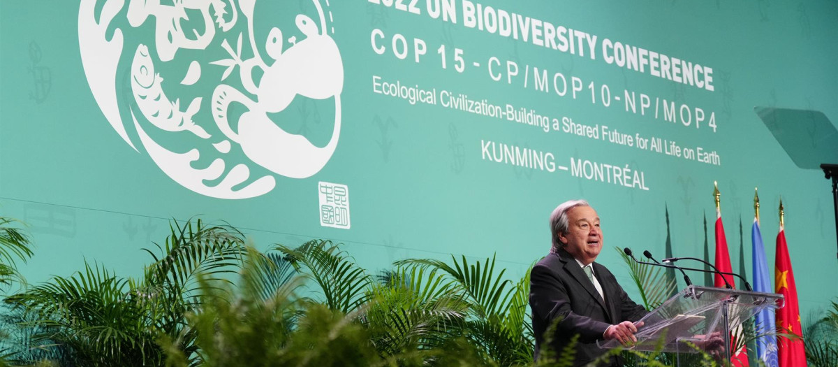 El secretario general de Naciones Unidas, António Guterres, en la cumbre de la COP15, en Montreal