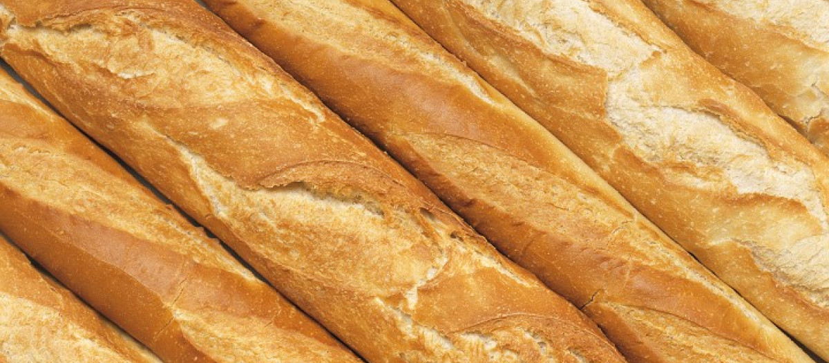 Baguettes 
Area Baguette Barra de pan Barra de pan blanco Birote Cocina de Europa Cocina de Francia Cocina europea Cocina francesa Comida Diagonal Europa Fondo Food Francia Ingrediente Ingredientes Nadie Pan Pan blanco Pan frances Pan francv©s Primer plano Producto de panaderia Producto de panaderv?a Producto de pasteleria Producto de pastelerv?a Quintessence Superficie Varias Varios Vista de cerca vÅrea
