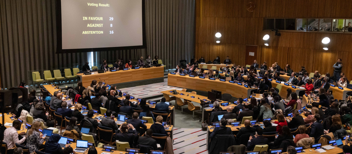 Comisión de la Mujer ONU