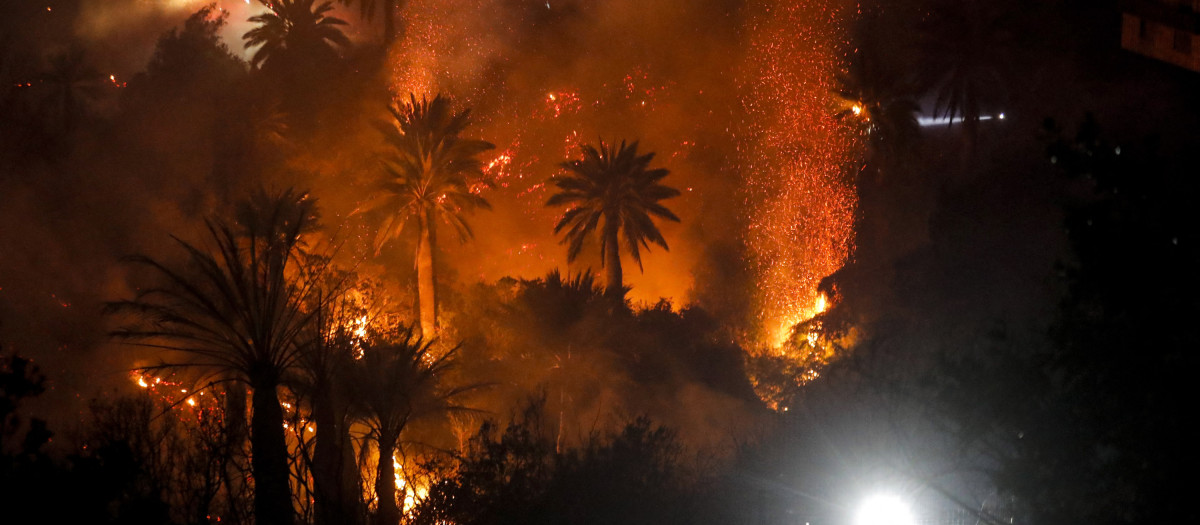 A forest fire affects the hills of Vina del Mar, where hundreds of houses are located, in the Valparaiso Region, Chile, on December 23, 2022. - At least two people died and some 400 homes have been damaged or destroyed in a fire that broke out Thursday in the Chilean seaside resort of Vina del Mar, prompting the government to declare a state of emergency. (Photo by JAVIER TORRES / AFP)