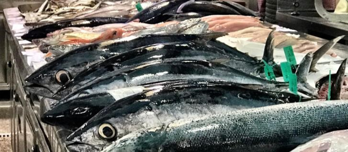 España es un país donde se consume mucho pescado