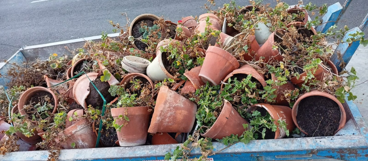 Macetas abandonadas en un contenedor de Sevilla