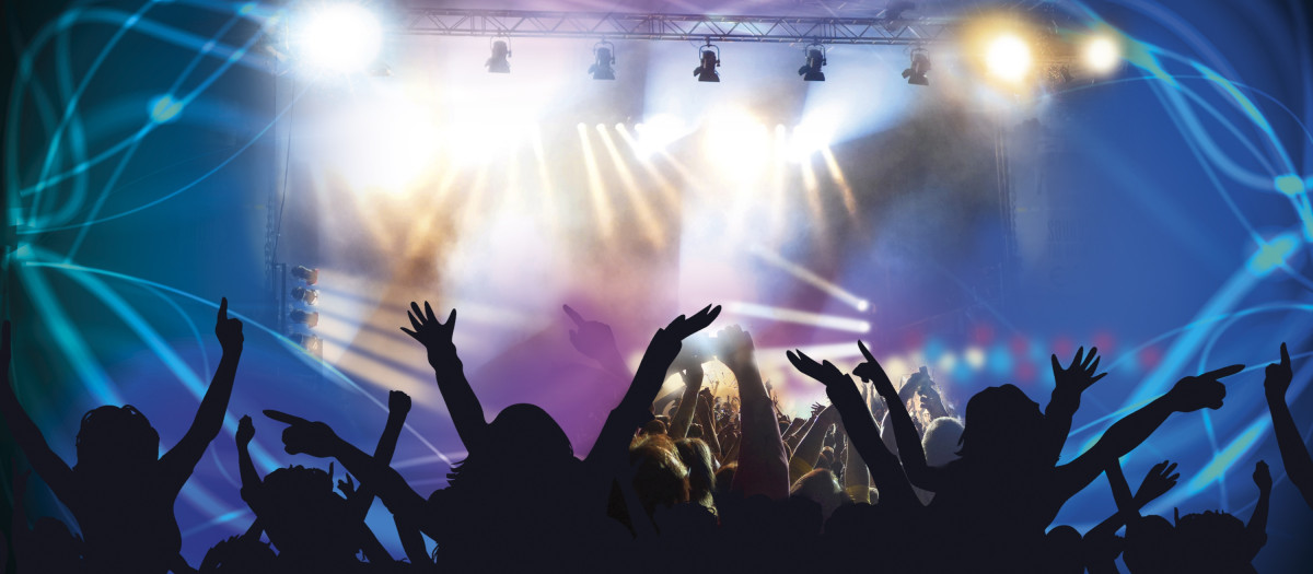 Jóvenes disfrutando de un concierto de música