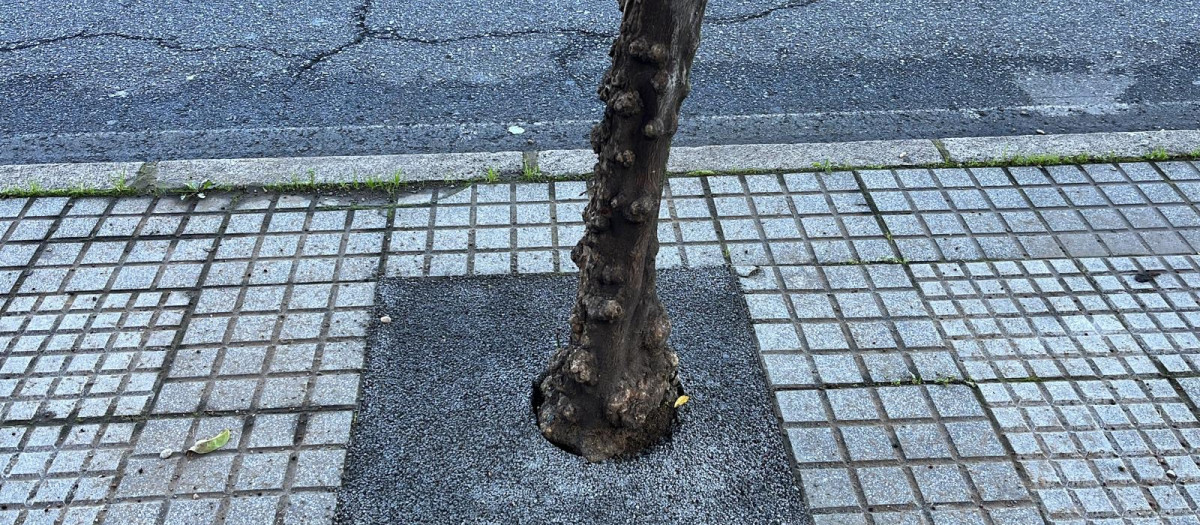 Alcorque con el pavimento drenante