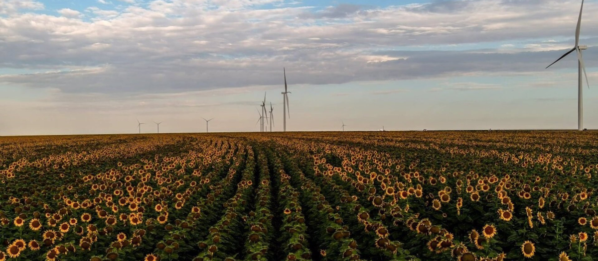 Amazon tiene nuevos proyectos de energía renovable en España