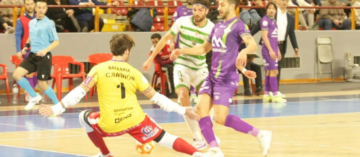 Córdoba Patrimonio -Palma Futsal