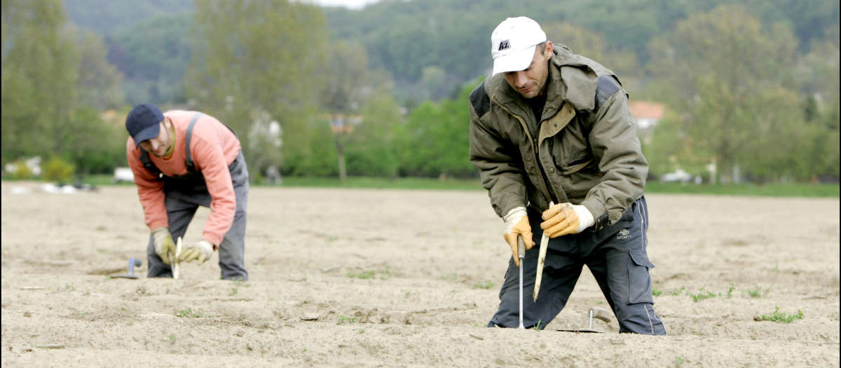 Imagen de archivo de unos agricultores