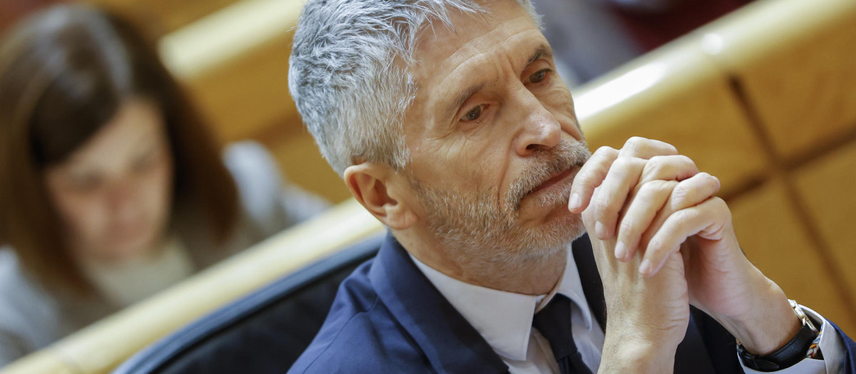 El ministro del Interior, Fernando Grande Marlaska, en su escaño del Senado