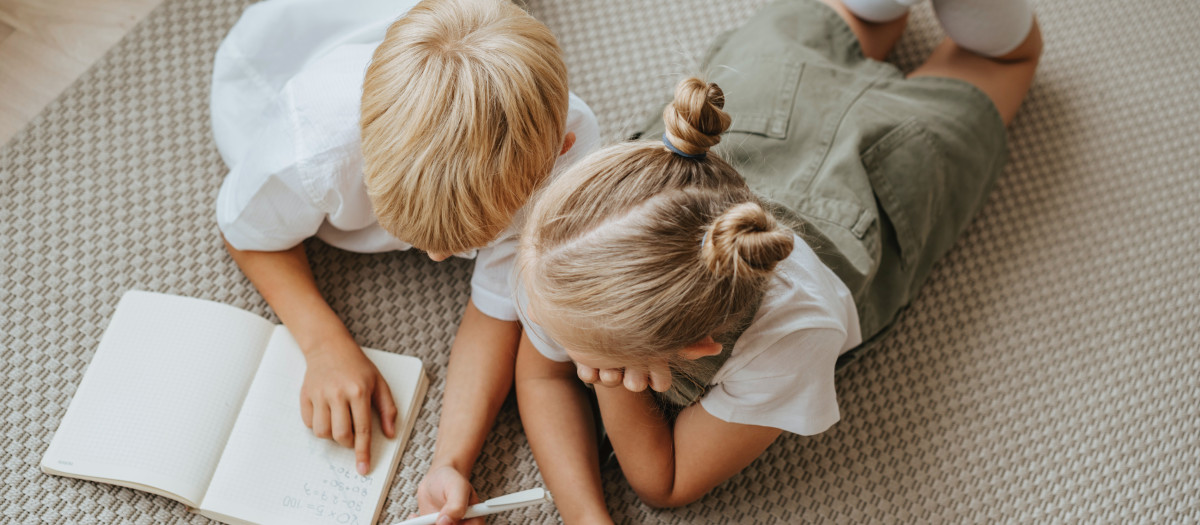 Los que mayor ventaja tienen en el ámbito educativo serían los mayores de una familia con dos hijos