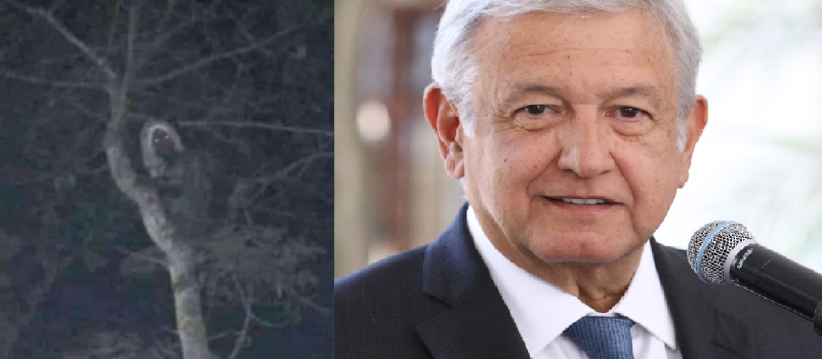 El presidente de México, López Obrador, junto al supuesto elfo maya