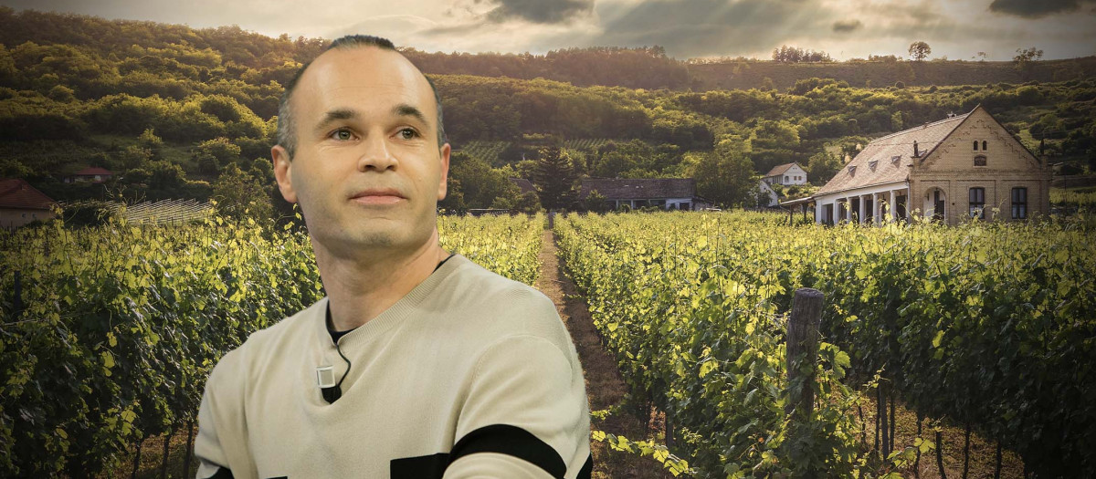 iniesta vinos