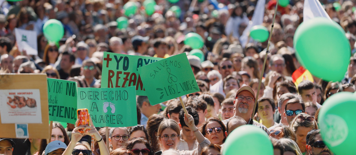 El recorrido finalmente ha concluido en la plaza de Colón