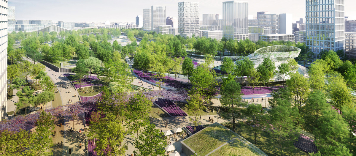 Diseño del bosque urbano del parque central de Madrid Nuevo Norte