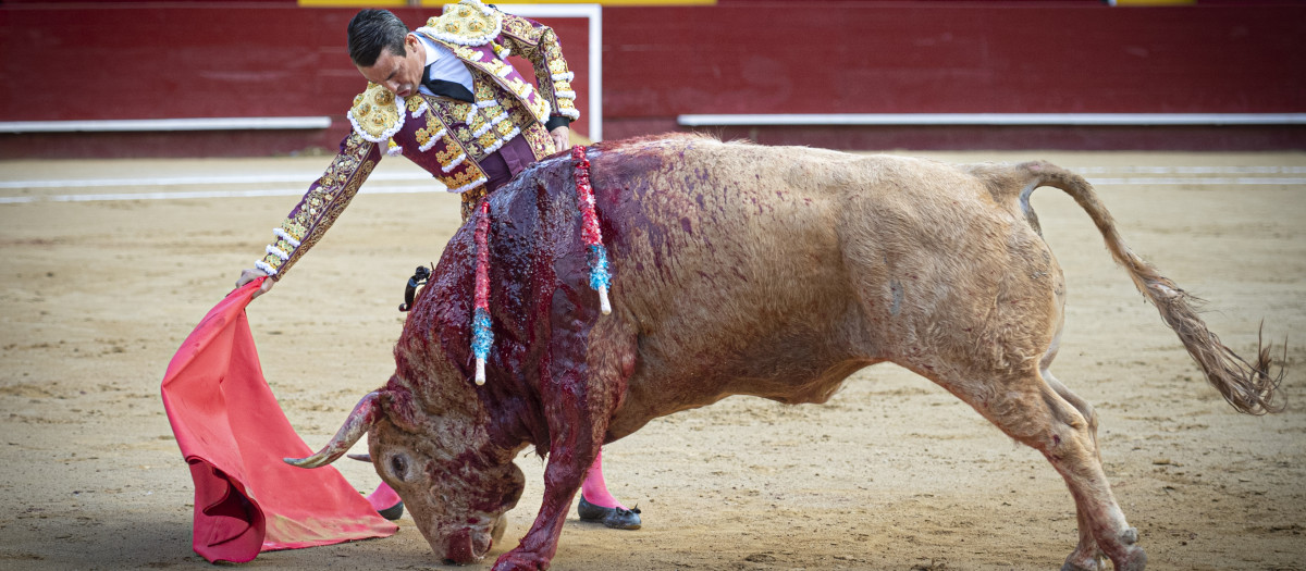 Toros Valencia 18 marzo