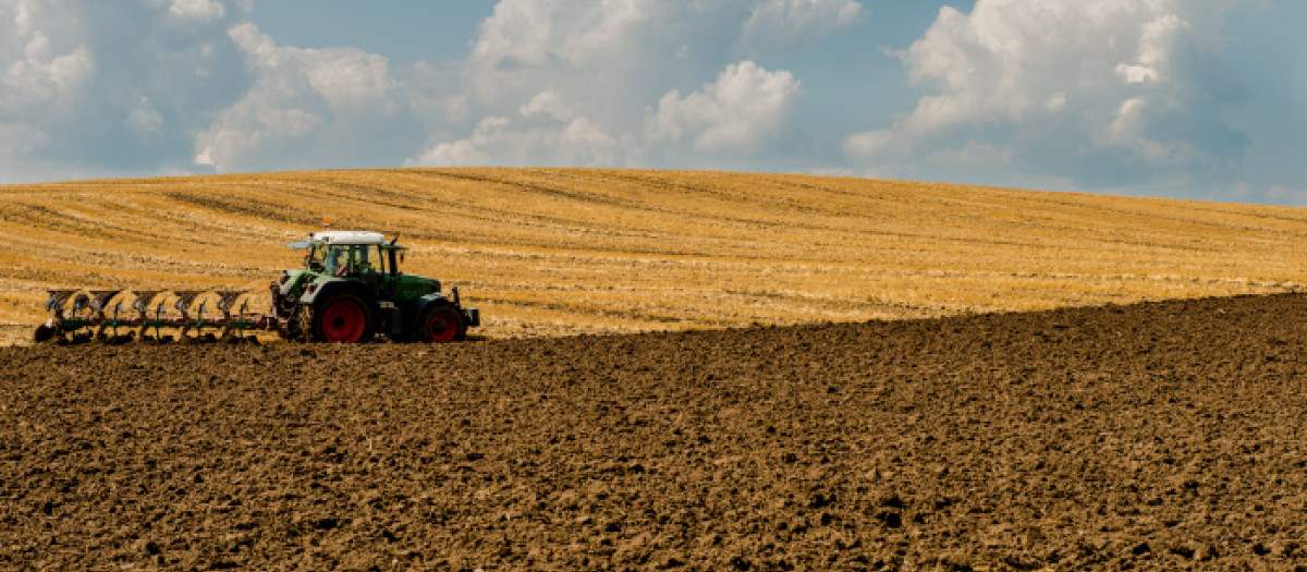 agricultura