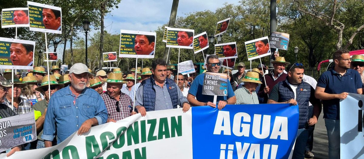 Concentración en Sevilla