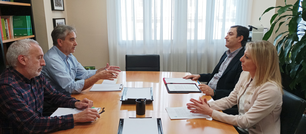 Reunión Satse y Anpe en marzo de 2023