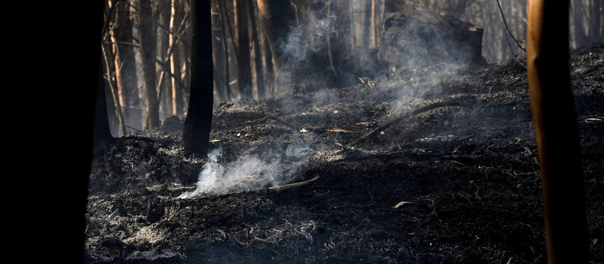 Zonas aún humeantes y con riesgo de incendio en los bosques de Pereda