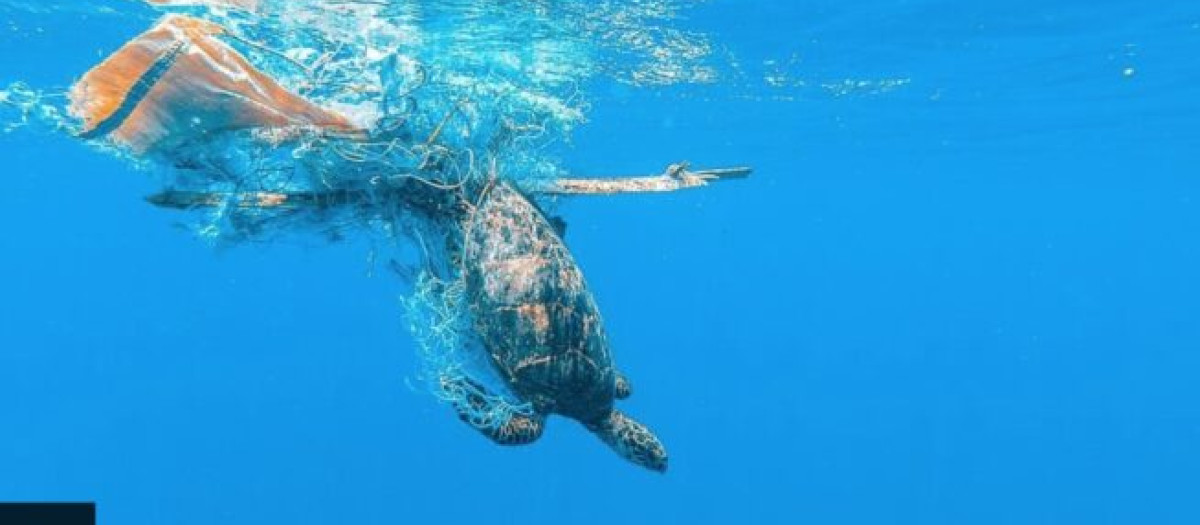Imagen utilizada por la BBC