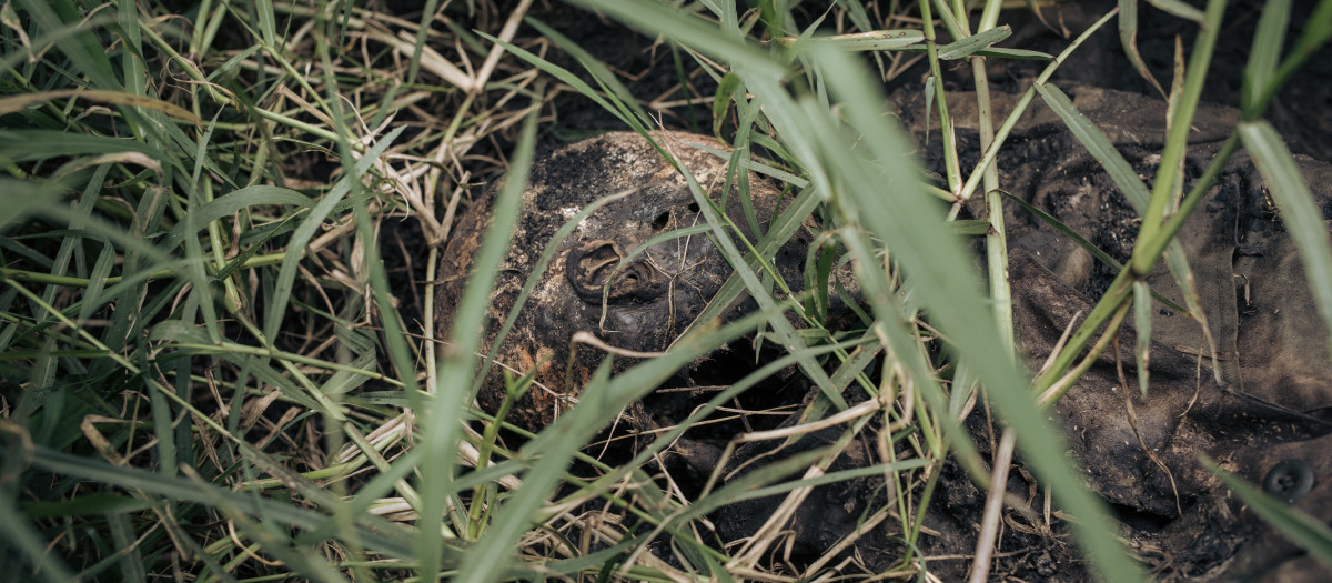 EDITORS NOTE: Graphic content / A corpse of an alleged 'Maïmaï' combattant lies in the grass in Kishishe, eastern Democratic Republic of Congo, on April 5, 2023. - In late November 2022, according to UN reports, M23 (March 23 Movement) fighters massacred at least 170 civilians in Kishishe in a retaliation attack after being ambushed by a local armed group. For a year, the fighters of the M23 - "Movement of March 23", a predominantly Tutsi armed group - have been advancing in Congolese territory, taking control of main roads, seizing towns and border posts. The capture of Kishishe is also part of a fight by the M23 against the FDLR (Democratic Forces for the Liberation of Rwanda), a mainly Hutu armed group founded by former leaders of the genocide in Rwanda, exiled in the DRC. The latter have for years installed one of their bastions in the immediate vicinity of the village. (Photo by ALEXIS HUGUET / AFP)