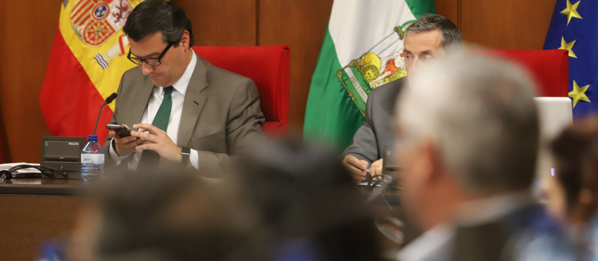 José María Bellido en el pleno del Ayuntamiento de Córdoba