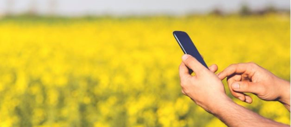 Investigadores del CSIC desarrollan 'ShuBest', una aplicación que permite optimizar el trabajo de los agricultores