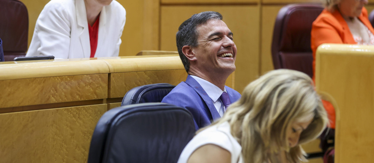 El presidente del Gobierno, Pedro Sánchez, durante el pleno del Senado este martes