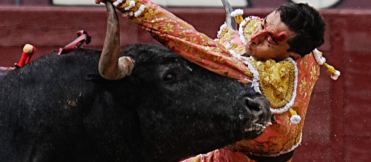 El diestro Paco Ureña es cogido por su primero durante la Corrida de la Prensa