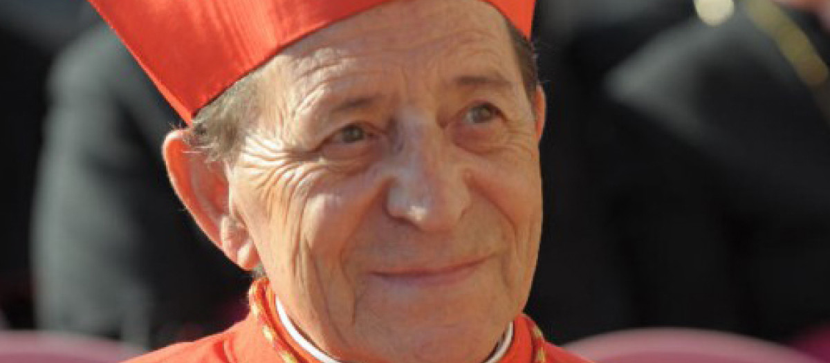 El cardenal español, Julián Herranz