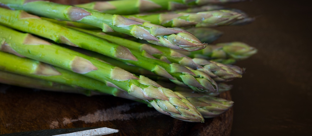 Los espárragos verdes son perfectos para incluir en la dieta