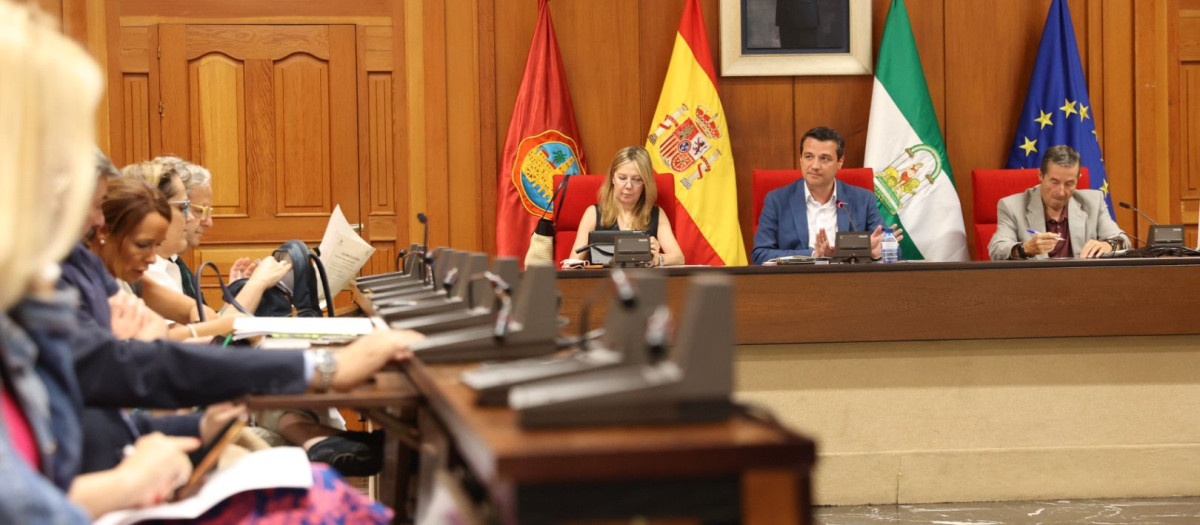 Pleno del Ayuntamiento de Córdoba