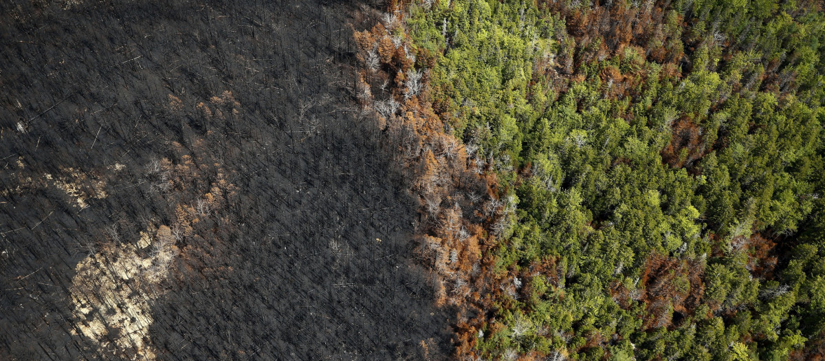 Daños por incendios forestales en el área de Tantallon en Canadá